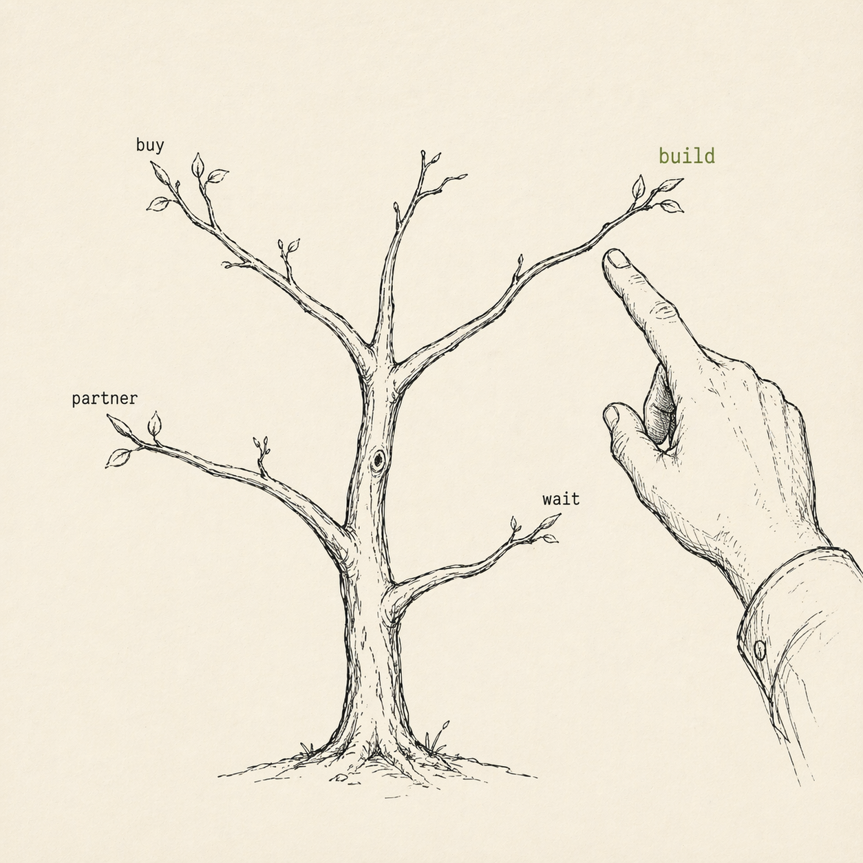 A sapling with four branches labeled buy, build, partner, and wait. A hand points to the build branch.